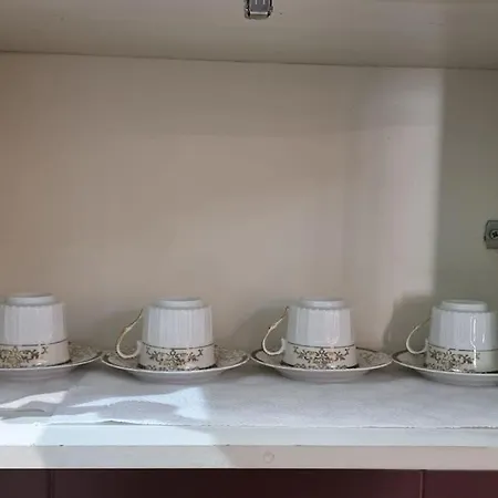 Bora Albania Me Vetsherbim 24 Prane Liqenit Apartment