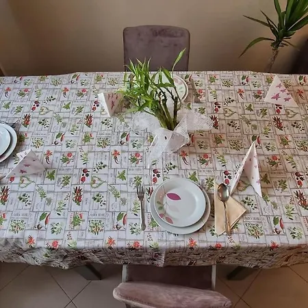 Bora Albania Me Vetsherbim 24 Prane Liqenit * Tirana