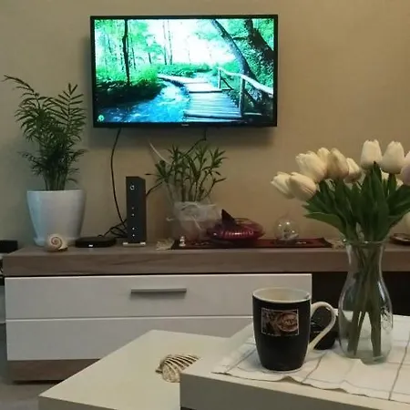 Bora Albania Me Vetsherbim 24 Prane Liqenit Apartment Tirana