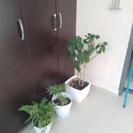 Bora Albania Me Vetsherbim 24 Prane Liqenit * Tirana