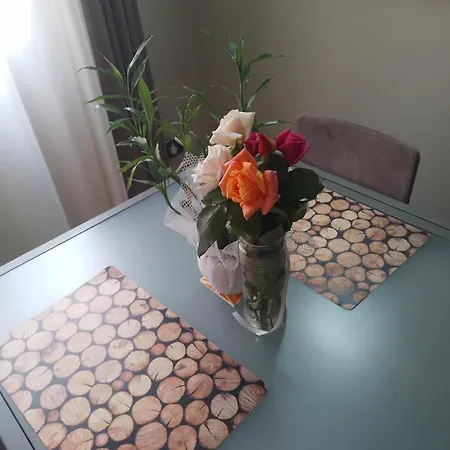 Apartment Bora Albania Me Vetsherbim 24 Prane Liqenit Tirana