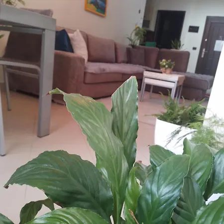 Bora Albania Me Vetsherbim 24 Prane Liqenit Apartment Tirana