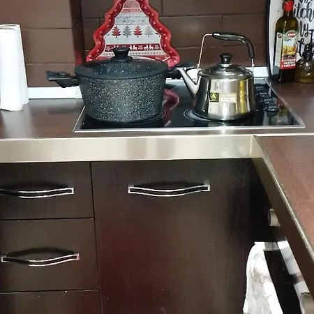 Apartment Bora Albania Me Vetsherbim 24 Prane Liqenit