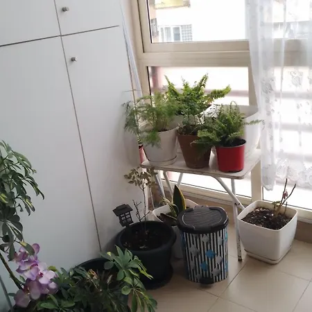 Apartment Bora Albania Me Vetsherbim 24 Prane Liqenit Tirana