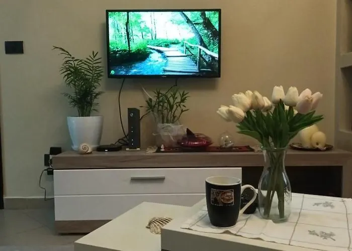 Bora Albania Me Vetsherbim 24 Prane Liqenit アパート ティラナ