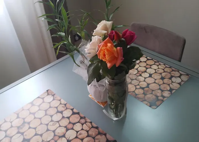 アパート Bora Albania Me Vetsherbim 24 Prane Liqenit ティラナ