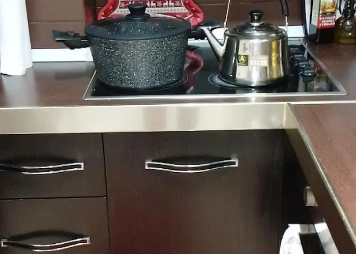 アパート Bora Albania Me Vetsherbim 24 Prane Liqenit