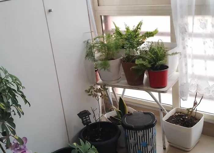 アパート Bora Albania Me Vetsherbim 24 Prane Liqenit ティラナ